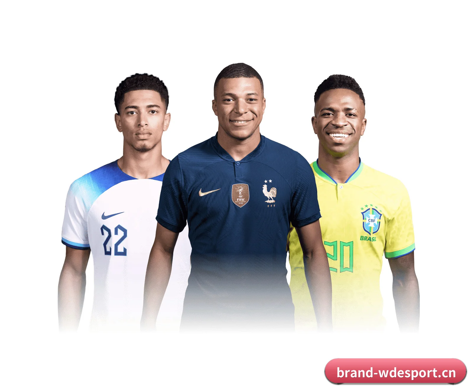 解码总编室